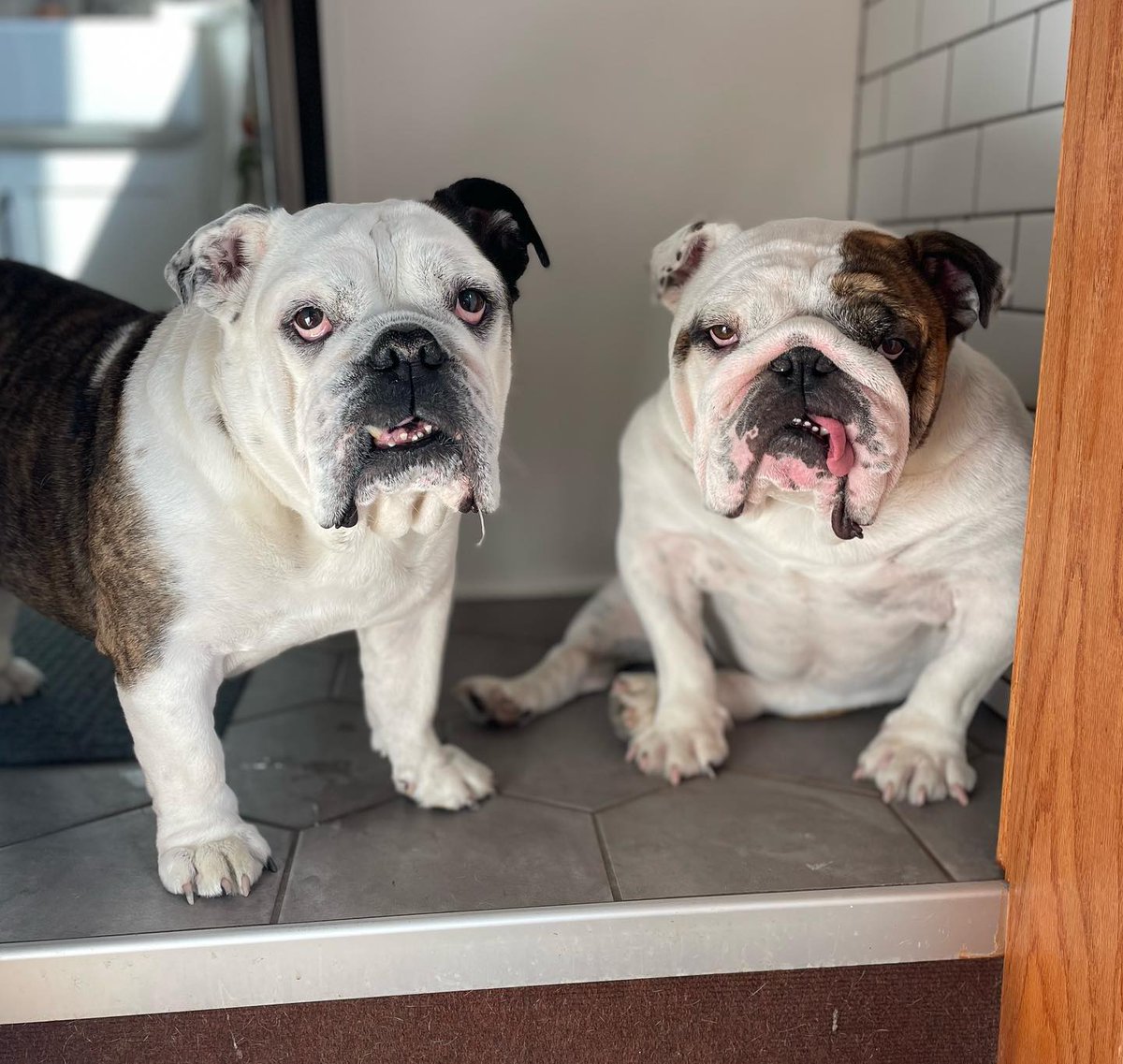 DrakeDining's tweet image. Grab your buddies and run to Hubbell for our weekly Faculty &amp;amp; Staff lunch special! Can't wait to see you.