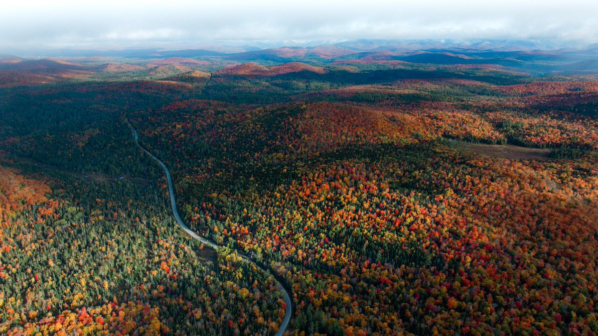 Autumn in Upstate NY
