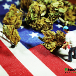 Photo by Technical420 (@Technical420)