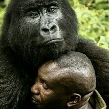 basal_i's tweet photo. #NewProfilePic https://t.co/t5ycYOkhe5