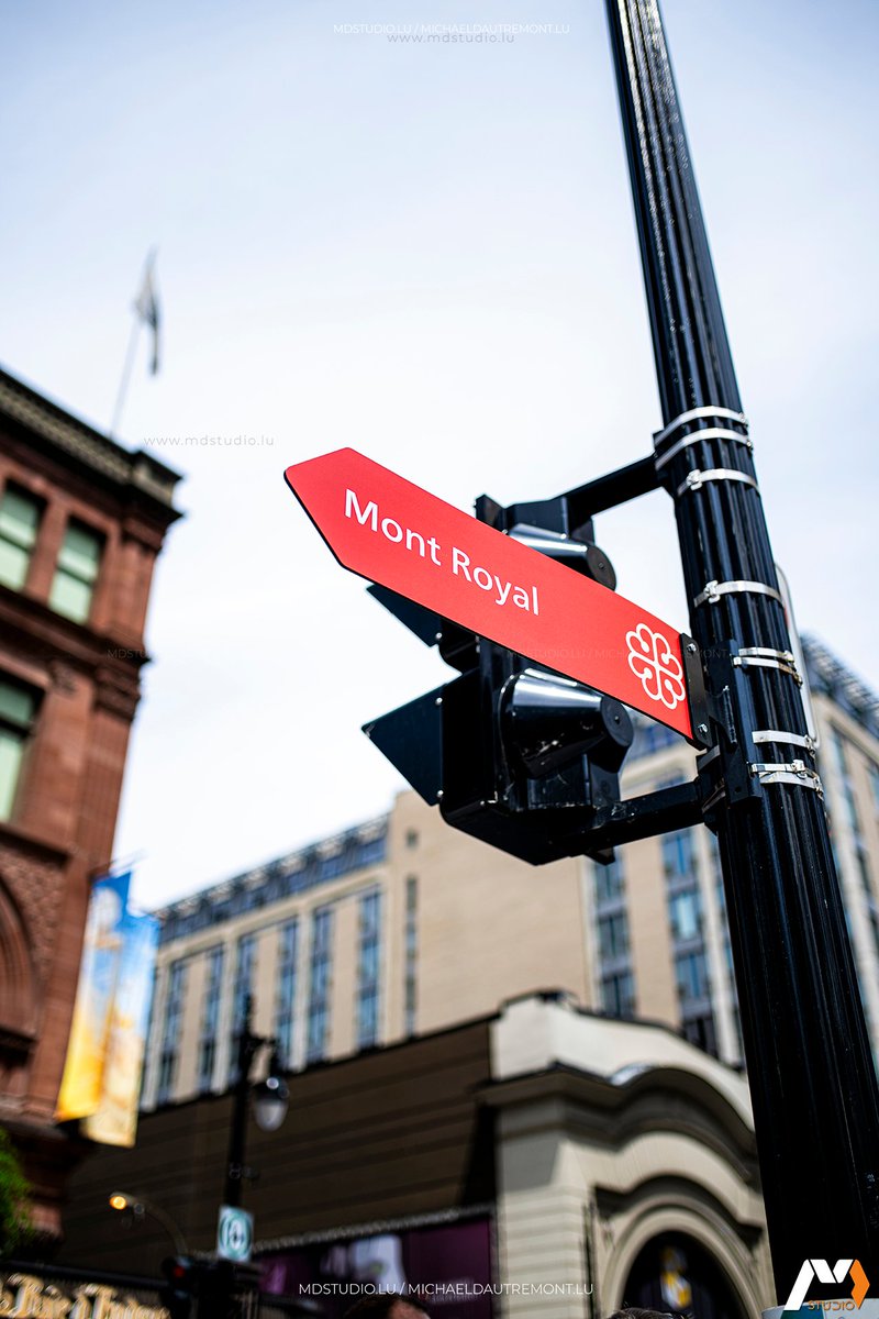 MDstudiolux's tweet photo. Nous sommes quelques jours à Montréal pour mettre en place un très chouette projet… 😇

En attendant de pouvoir vous en dire plus, on vous partage quelques photos à la volées de cette magnifique ville ! 

© https://t.co/T0PvBziPGT

#montreal #canada #canadian #montréal https://t.co/YfCBajOVhB