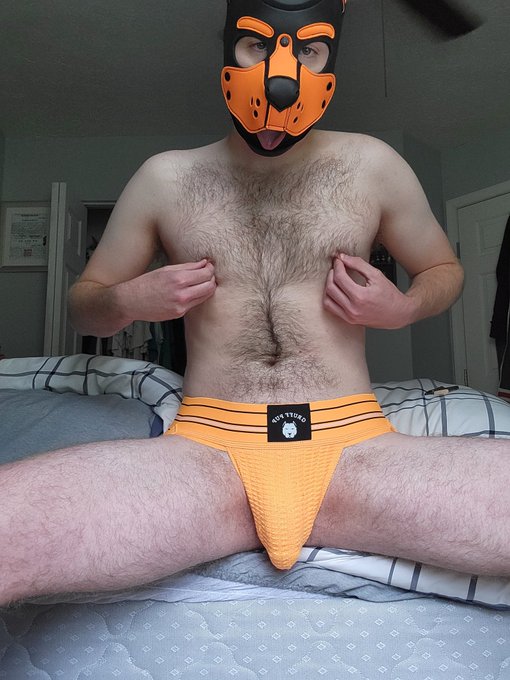 Just enjoying my bulge today 🥰 #pupplay #bulge https://t.co/95rM7VTYu6<a href="/tag/pupplay"class="tags">#pupplay</a><a href="/tag/bulge"class="tags">#bulge</a>