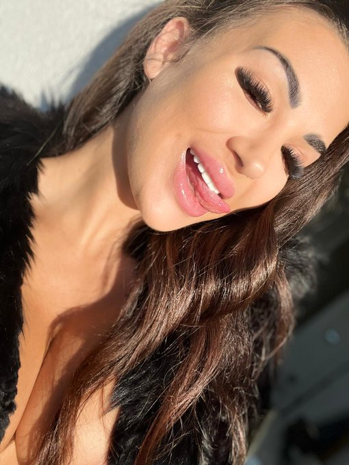 Quer&eacute;is NUEVO CONTENIDO? Os leo en comentarios😋 https://t.co/JsPlrBYId8