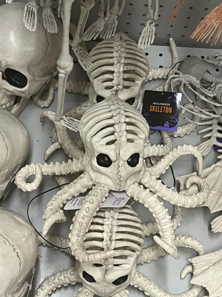 My favorite Halloween merch is skeletons of things that have no bones.