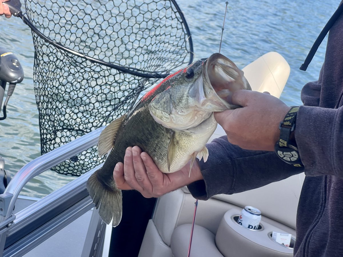 Allentown1711's tweet photo. #FishSlayers ๐ฃ๐#LimeLake #FamVacay ๐ฅ๐ฅ๐ฅ https://t.co/9ezZf368Zk