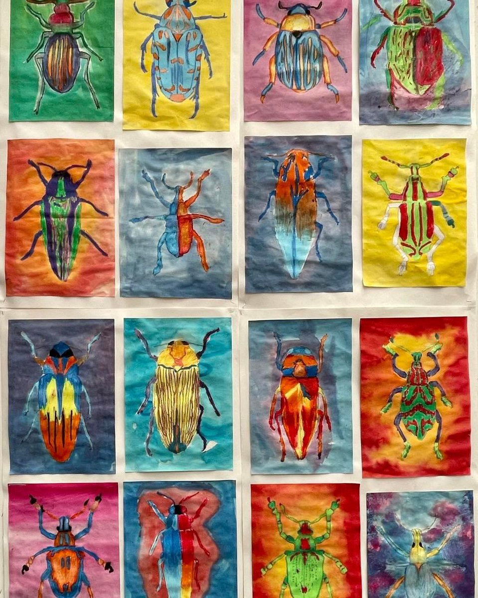 Some fantastic work from our art department! 🧑‍🎨 This term the year 7’s are working on the topic of Bugs and Butterflies using a vast array of amazingly bright and beautiful colours and patterns! 🎨 The standard already is so impressive, we can’t wait to share more with you