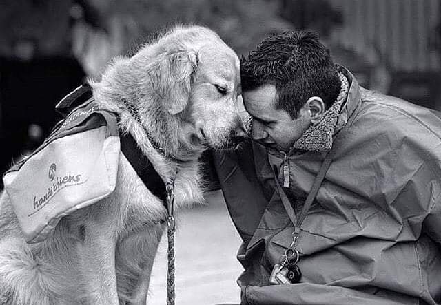 uzay_murat1's tweet photo. İyi bir insan utanç duyabilmeli, bir köpeğin karşısında bile...🐾🙏🏻🐾 https://t.co/bw9LaRCNGS