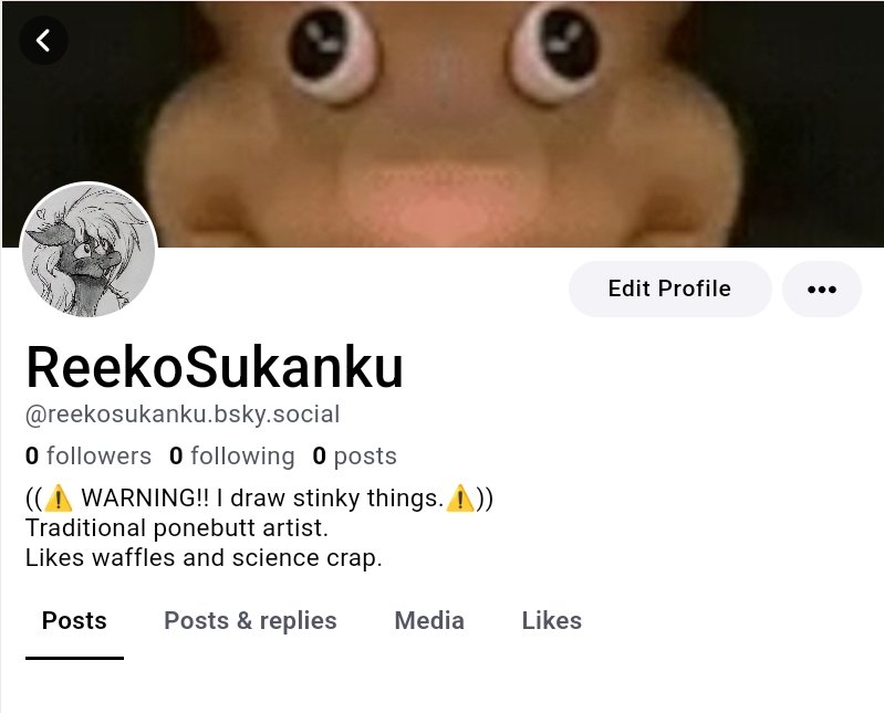 Look it!!! I had Obtained Contingency Plan if Twidder goes Fully down the drain!
Add me on BlueSky!