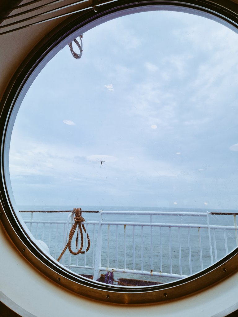 Preseli Pollen Project tweet media