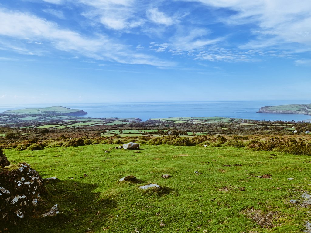 Preseli Pollen Project tweet media