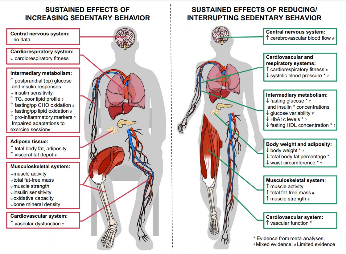 jacksonfyfe's tweet photo. Sedentary behaviour impacts a multitude of physiological systems.

“High volumes of sedentary behaviour can have adverse physiological impacts even in the presence of large volumes of aerobic and/or resistance exercise.”

This reinforces our need to "sit less, move more, and exercise".

https://t.co/PAlSFo5srH