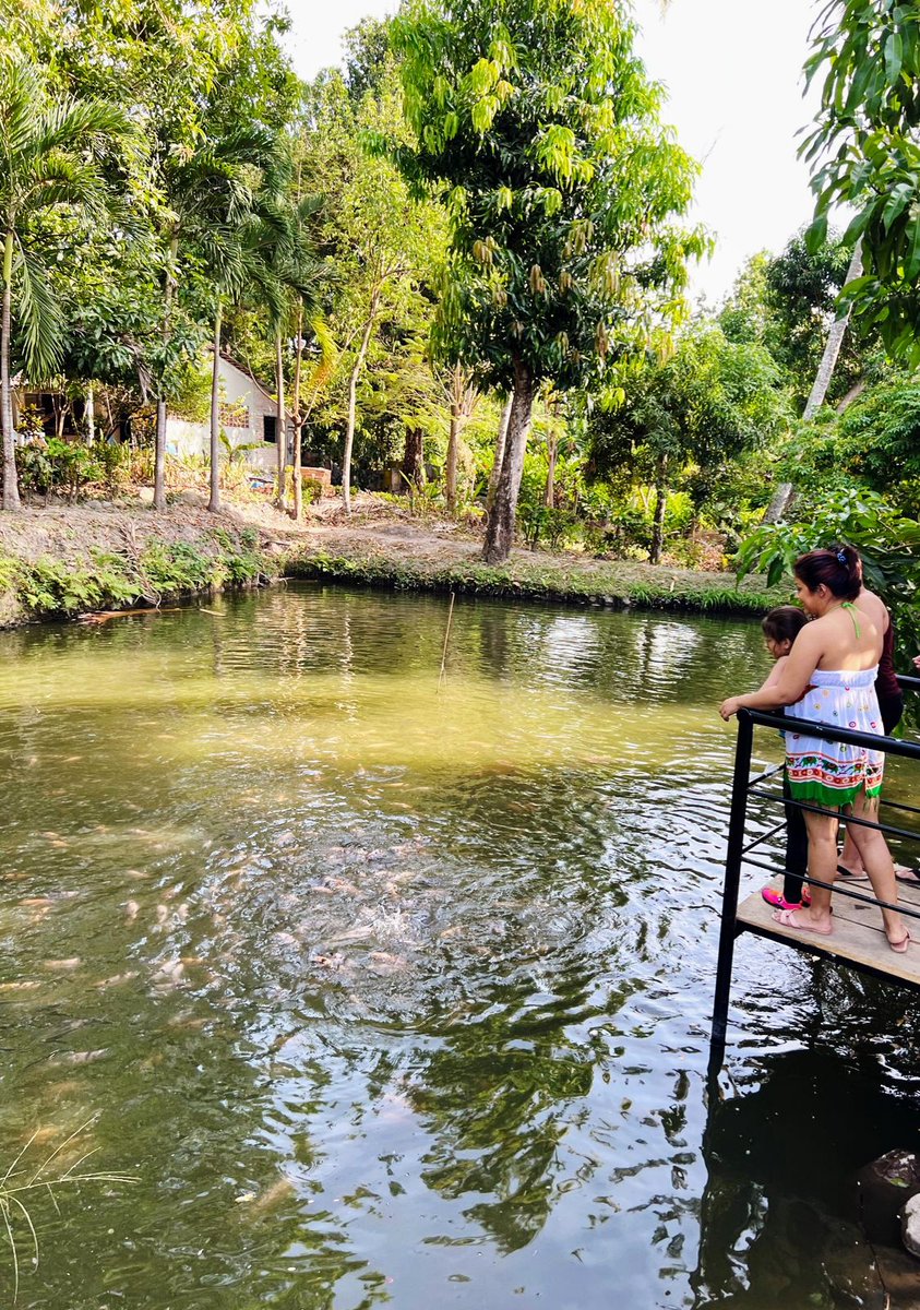 MangoVillageLP's tweet photo. Descansa y vive un verdadero contacto con la naturaleza en el mejor ambiente familiar.
¡Te esperamos!
#MangoVillage #hacemosecoturismo https://t.co/1CEssRn42z