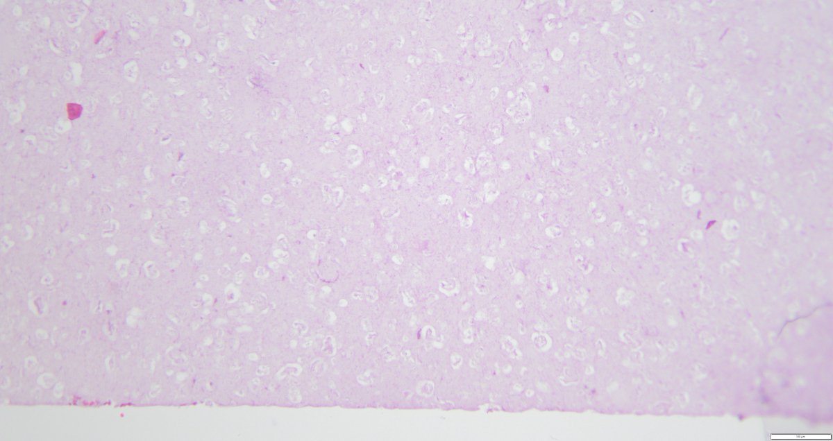 Leon Metlay tweet media