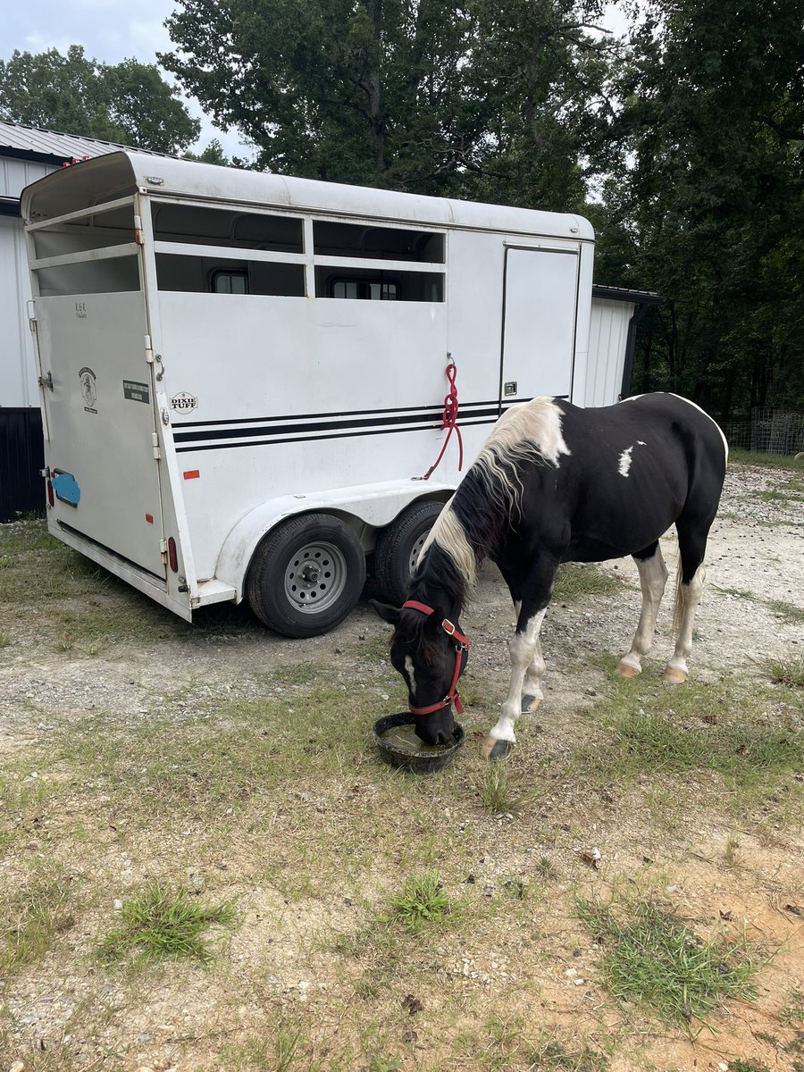 TeethandTails's tweet photo. We finally got a trailer! See y’all on trails 🤩 https://t.co/Q6PWFoG6bN