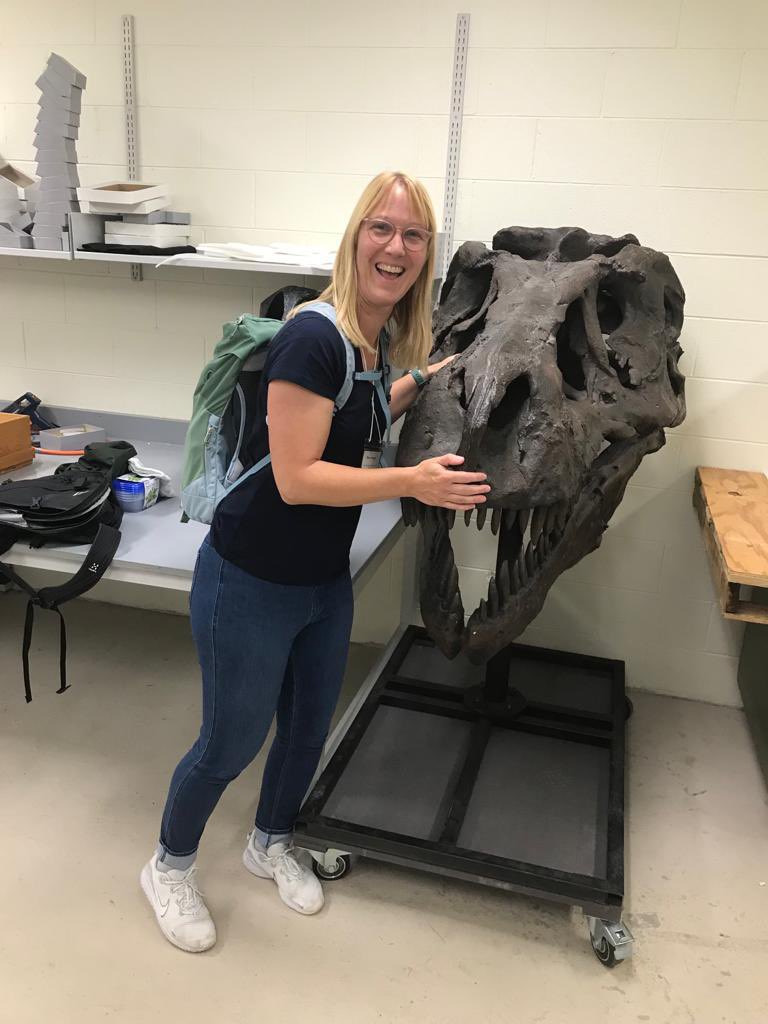 Andrea Bräutigam tweet media