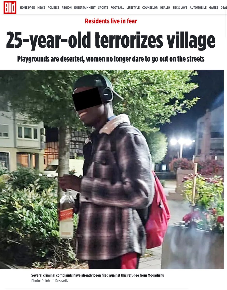 #Germany: Somali (25) have been terrorizing 7,500 residents in #Hardheim in the Odenwald for months finally stopped but this is one of countless cases in Europe today. www-bild-de.translate.goog/regional/frank… #RefugeesNotWelcome