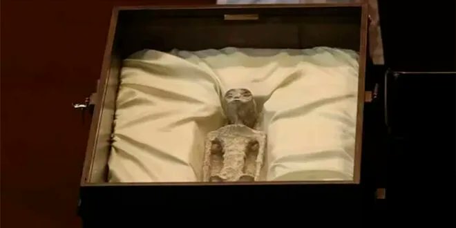 ElChacoInforma's tweet image. #México: #Presentan ante el #Congreso los #cuerpos de dos #supuestos #extraterrestres ➜ buff.ly/3LlNPLs