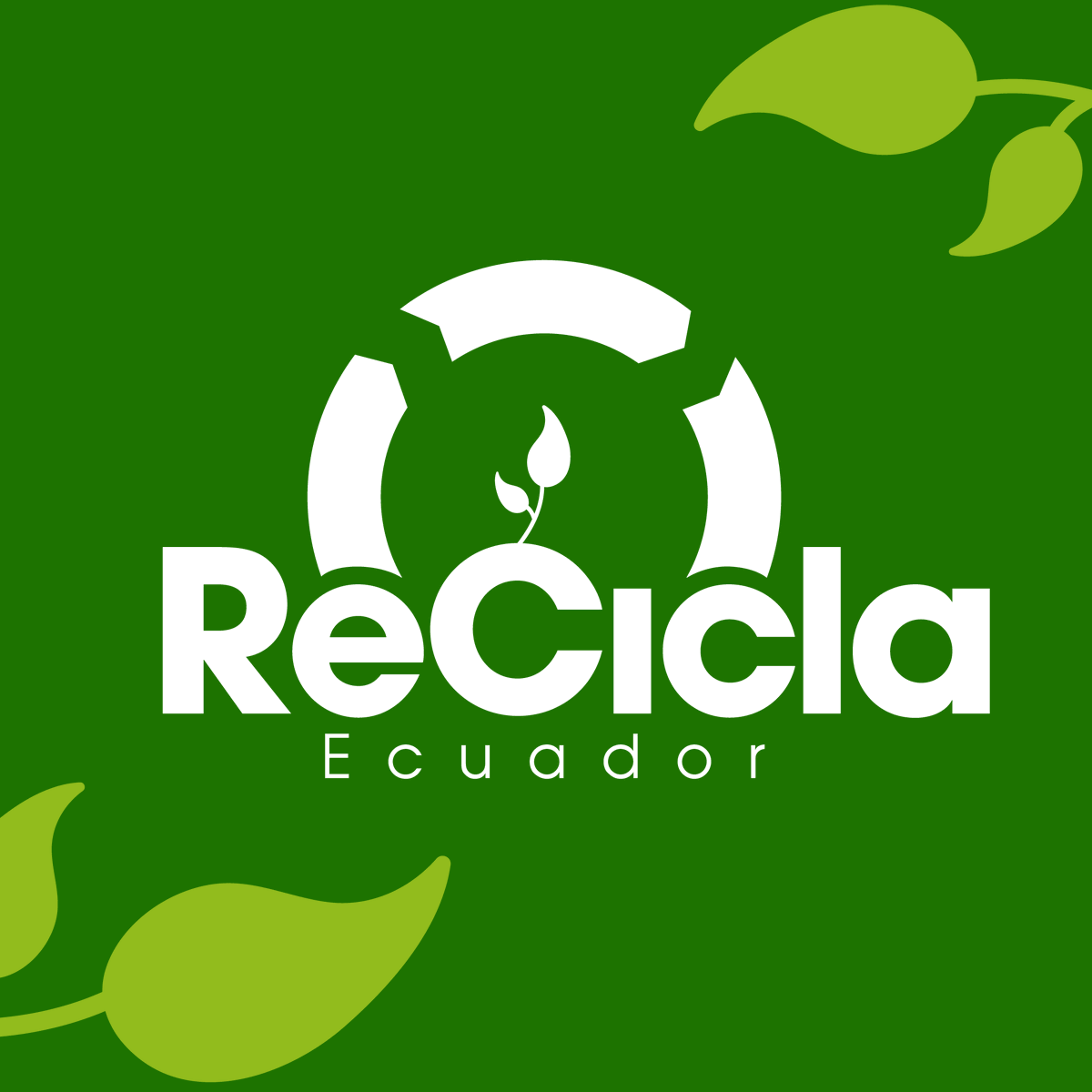 mariasanchezec's tweet photo. Hace dos años logramos reciclar el 85% de las botellas plásticas en Ecuador ♻️, pero hoy nos encontramos con más basura en nuestras calles debido a la falta de una ley que fomente el reciclaje. 😔 Usa los Hashtags #ReCicloEcuador #IRBP #CorteNoTeAhueves etiqueta a @CorteConstEcu https://t.co/8OgTQvtRyQ