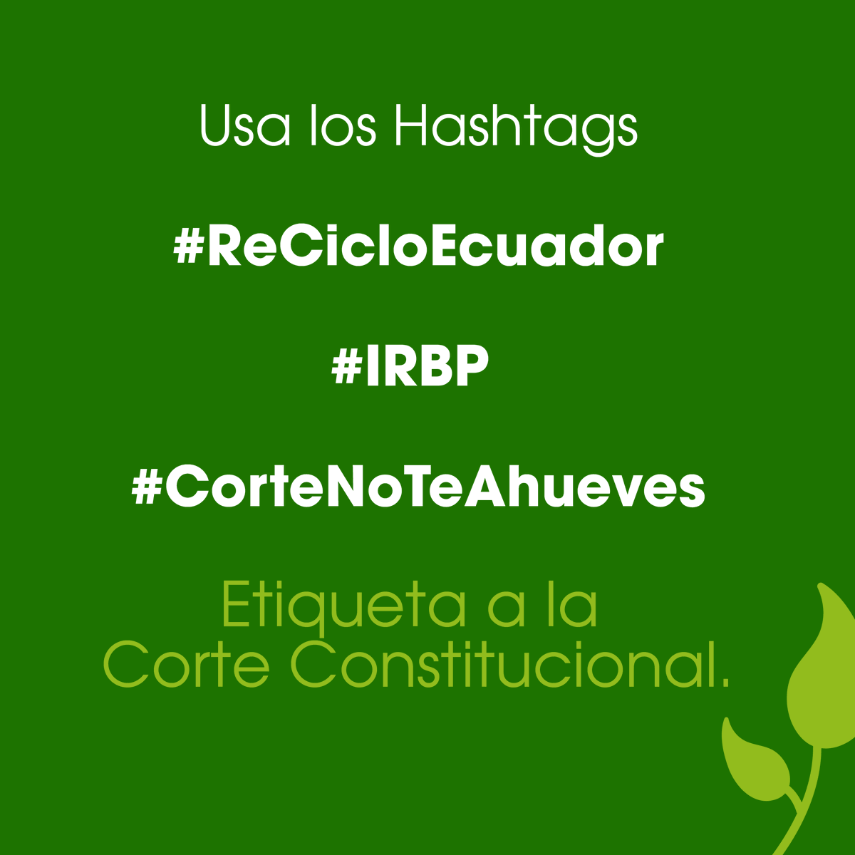 mariasanchezec's tweet photo. Hace dos años logramos reciclar el 85% de las botellas plásticas en Ecuador ♻️, pero hoy nos encontramos con más basura en nuestras calles debido a la falta de una ley que fomente el reciclaje. 😔 Usa los Hashtags #ReCicloEcuador #IRBP #CorteNoTeAhueves etiqueta a @CorteConstEcu https://t.co/8OgTQvtRyQ