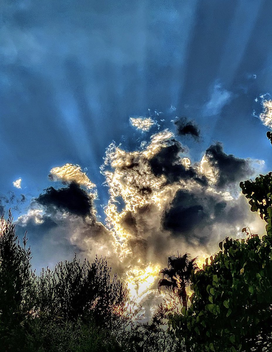 BrigitteB55's tweet image. Bonne fin de journée à toutes et à tous depuis #Antibes 💫