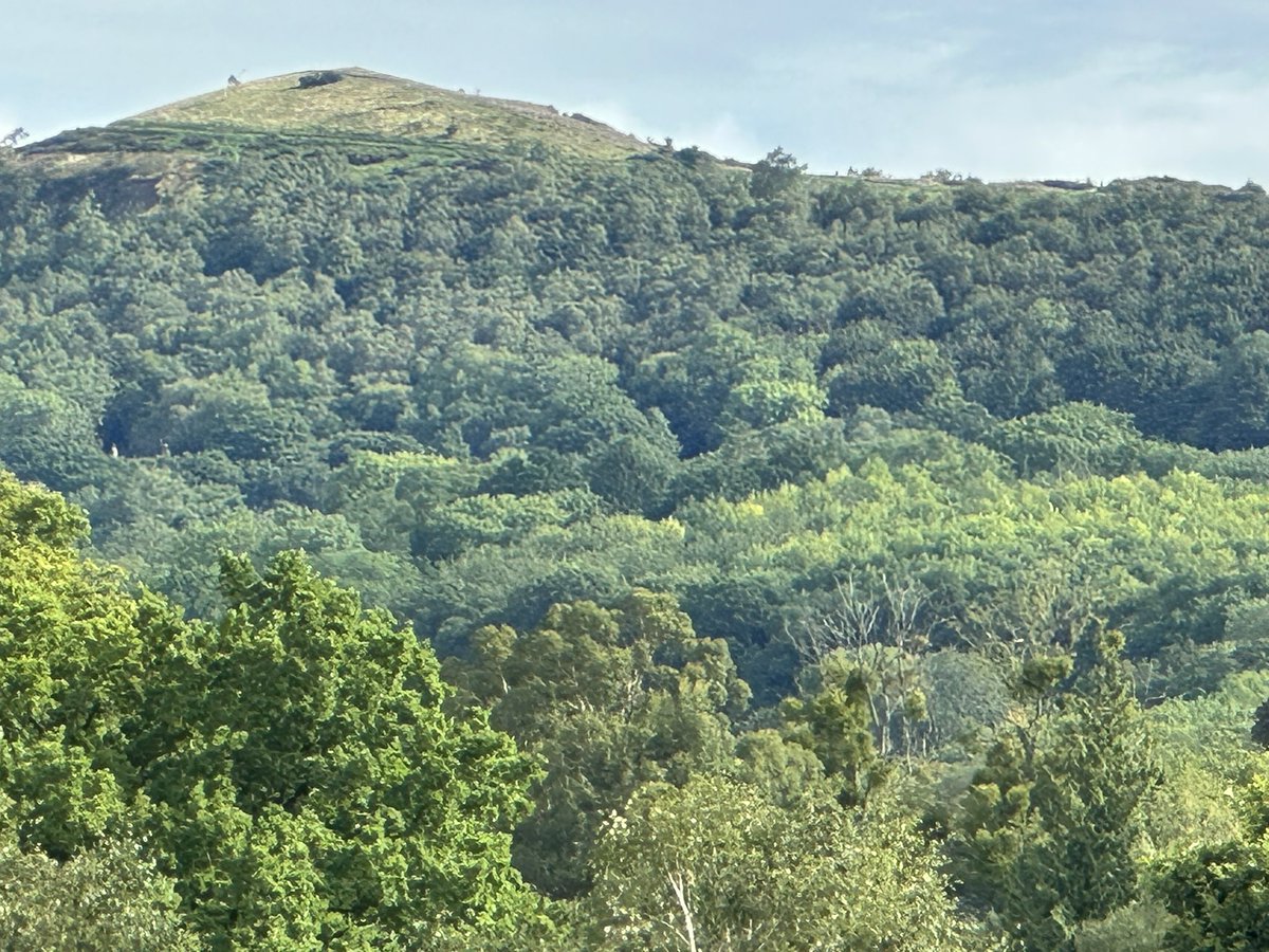 Good evening #MalvernHillsHour quick reminder to join our #networking  hour 8-9pm tonight!  Hope you can connect!  #WorcestershireHour