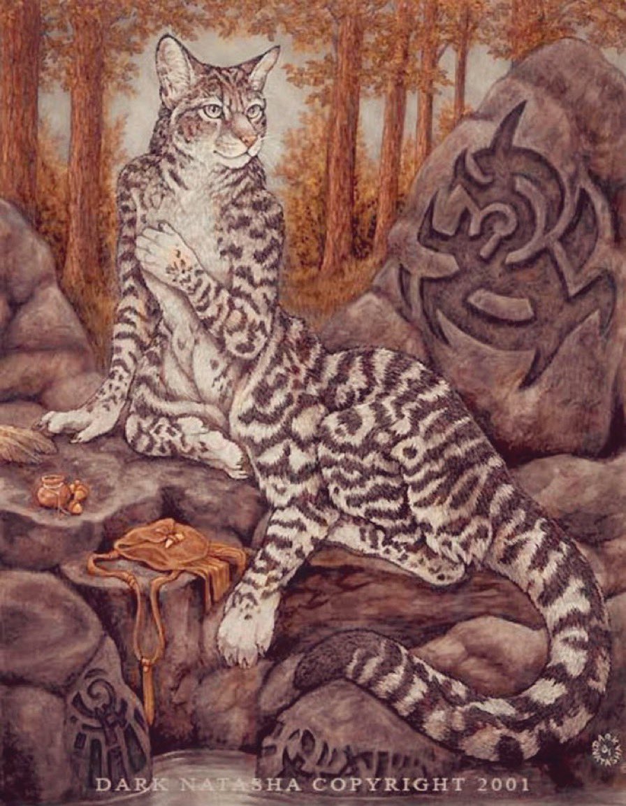 Kerria's tweet image. The Wampus Cat from Cherokee folklore, stalks the mountains of Appalachia at night. Folks say you can try to outrun this six-legged beast, but once you hear its terrifying howl—its already too late!

#ofdarkandmacabre #weirdwednesday #legendarywednesday