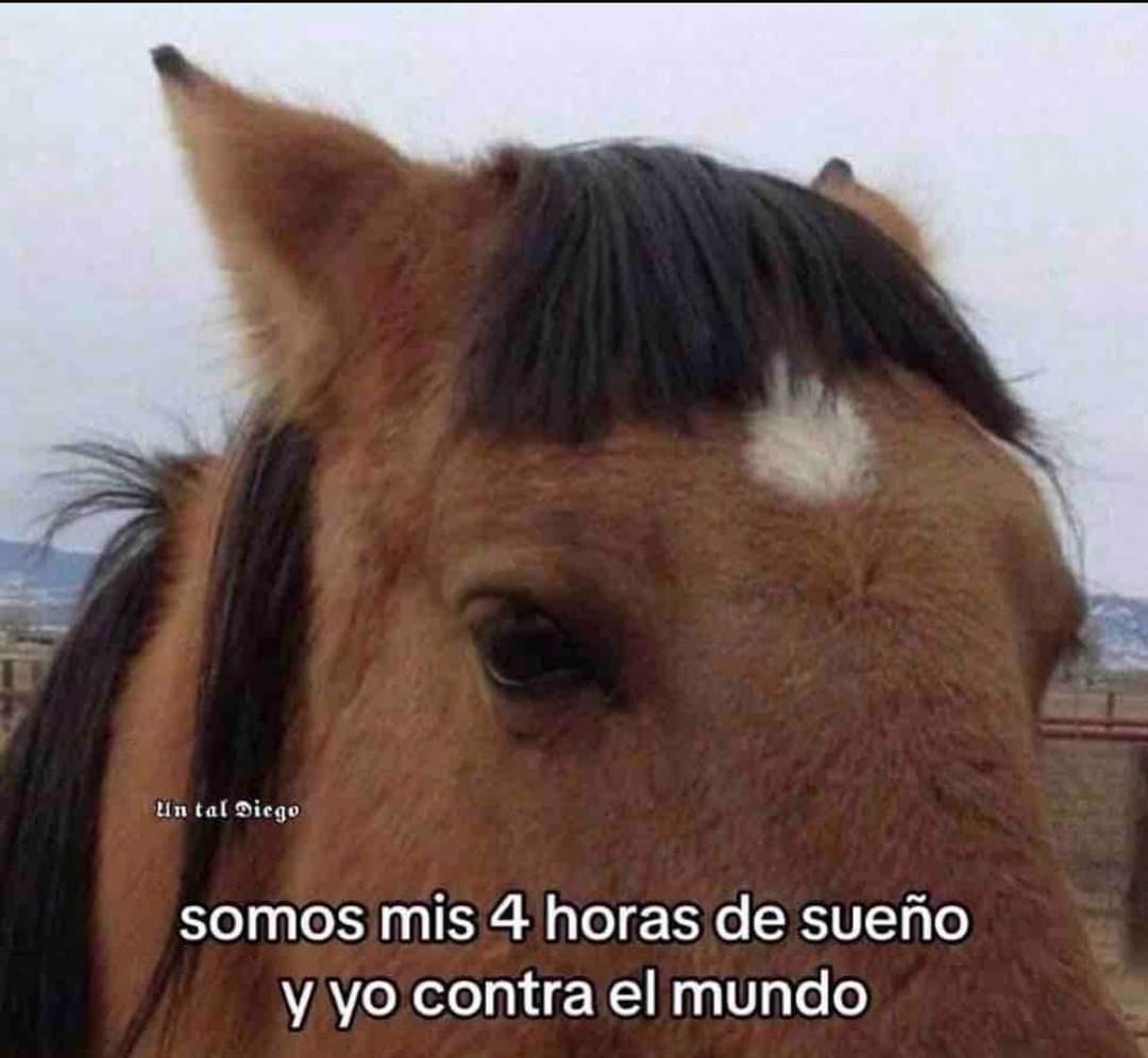 memefeos's tweet photo. https://t.co/2FQlzPey3F