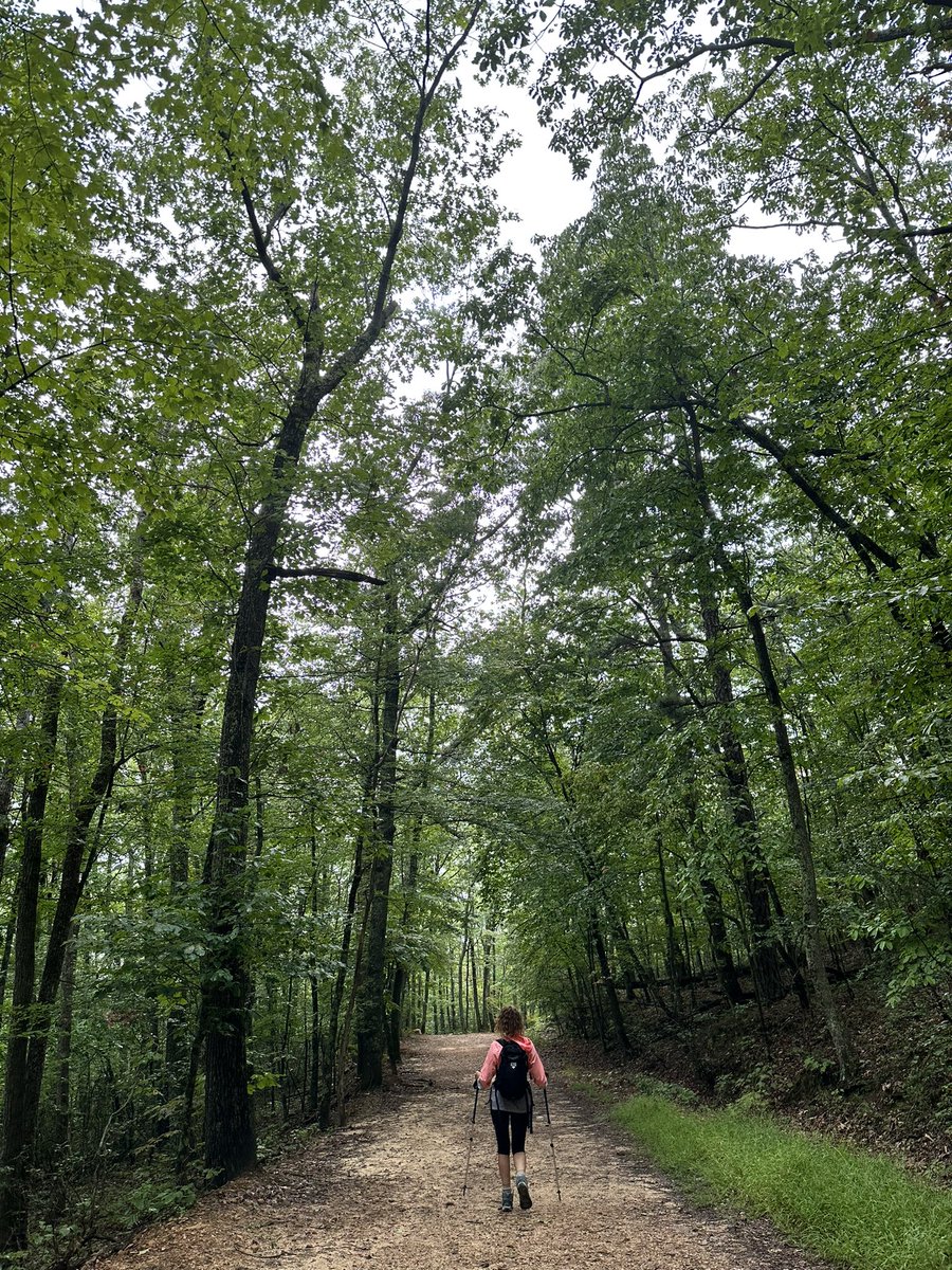 ami52043880's tweet photo. When life gives you mountains, put on your boots and hike.
#hike #naturelover https://t.co/nmdOAJudPo