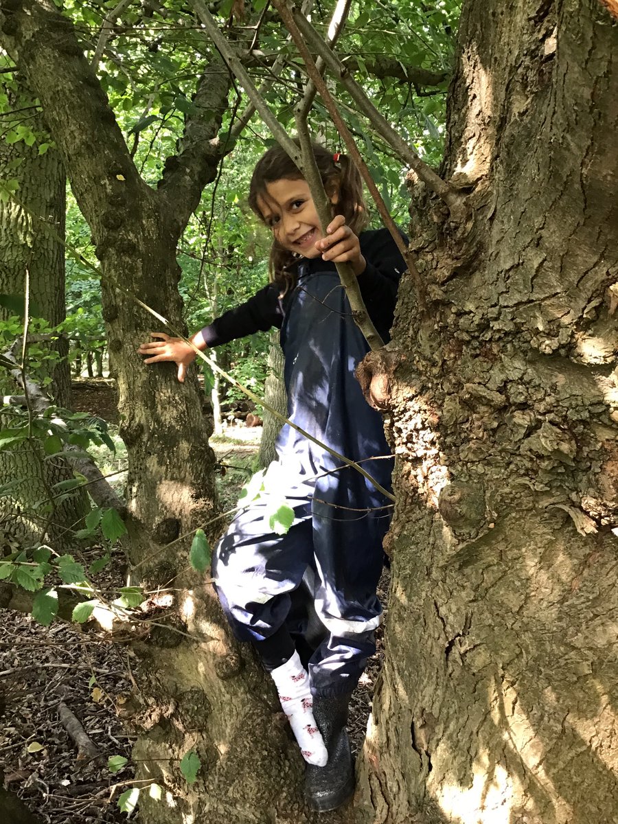PipersForestSch's tweet image. Year 2 @PipersPrePrep had a wonderful time looking for bugs and making conker soap today. There was a bit of tree climbing too #forestfun #pipersgrounds #pipersoutdoors