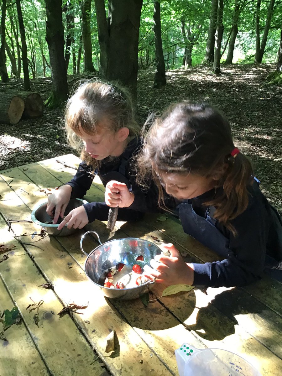 PipersForestSch's tweet image. Year 2 @PipersPrePrep had a wonderful time looking for bugs and making conker soap today. There was a bit of tree climbing too #forestfun #pipersgrounds #pipersoutdoors