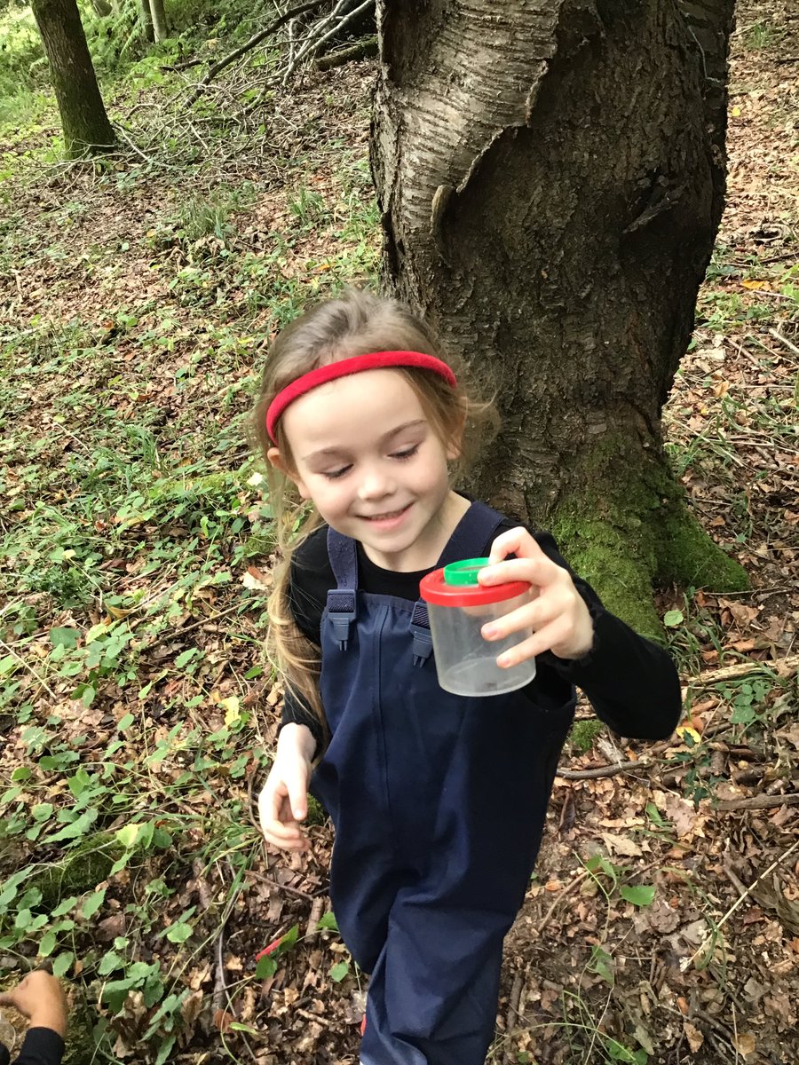 PipersForestSch's tweet image. Year 2 @PipersPrePrep had a wonderful time looking for bugs and making conker soap today. There was a bit of tree climbing too #forestfun #pipersgrounds #pipersoutdoors