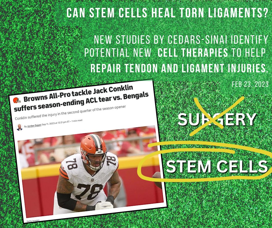 Can you repair an ACL tear without surgery? Yes. Call us to learn more 815-412-6192

#jackconklin #nfl #clevelandbrowns #browns #injuredlist #stemcelltherapy #sportsinjuries #acl #tornacl #acltear #nonsurgical #cedarssinai #tendon #ligament #kneeinjury #regenerativemedicine