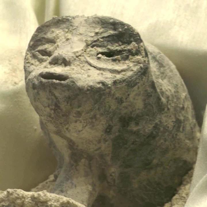 Complex's tweet photo. A ufologist, Jaime Maussan, testified under oath in Mexico’s Congress this week about alleged “non-human” bodies.

Many are questioning Maussan's claims, after he displayed a mummified body at an event in 2015, alleging it was an alien corpse. https://t.co/STstj2C8W9
