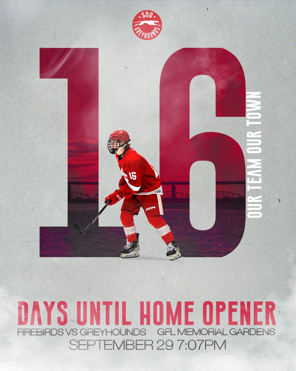 X - Soo Greyhounds tweet media