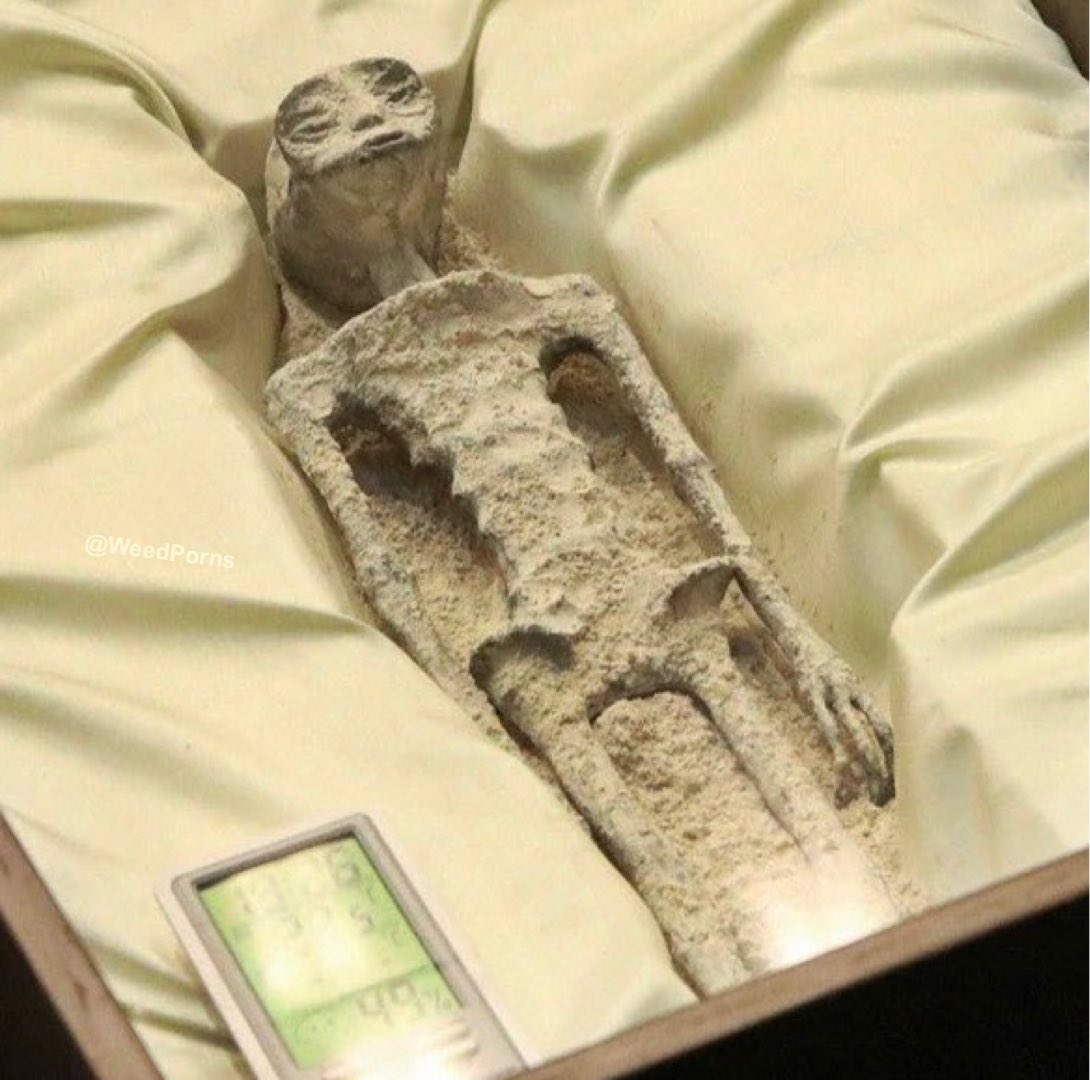 Me after a 50mg edible