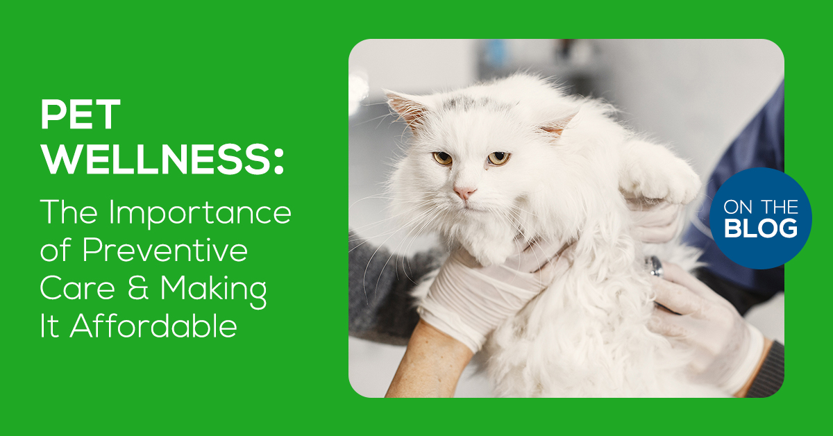 This month on the blog, we discuss the importance of affordable preventive wellness care for your pet. Read the full article: bit.ly/436wDzN

#nutmeg #nutmegspayneuter #wellnesscare #reponsiblepetownershup #responsibledogownershipmonth #preventitivecare