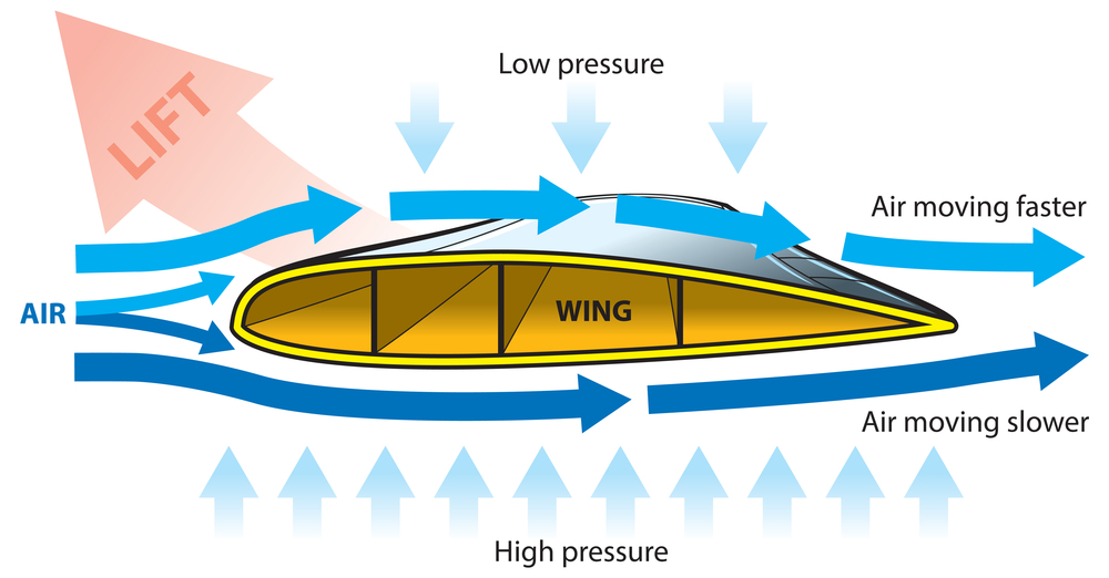 How do planes defy gravity? ✈️ It's the science of LIFT! Wings + Airflow = ✈️ Skyward! 

Dive into #AviationBasics with us. 

pilothub.co.uk

#PilotHub #LiftOffLearnings #FlightTraining #StudentPilot