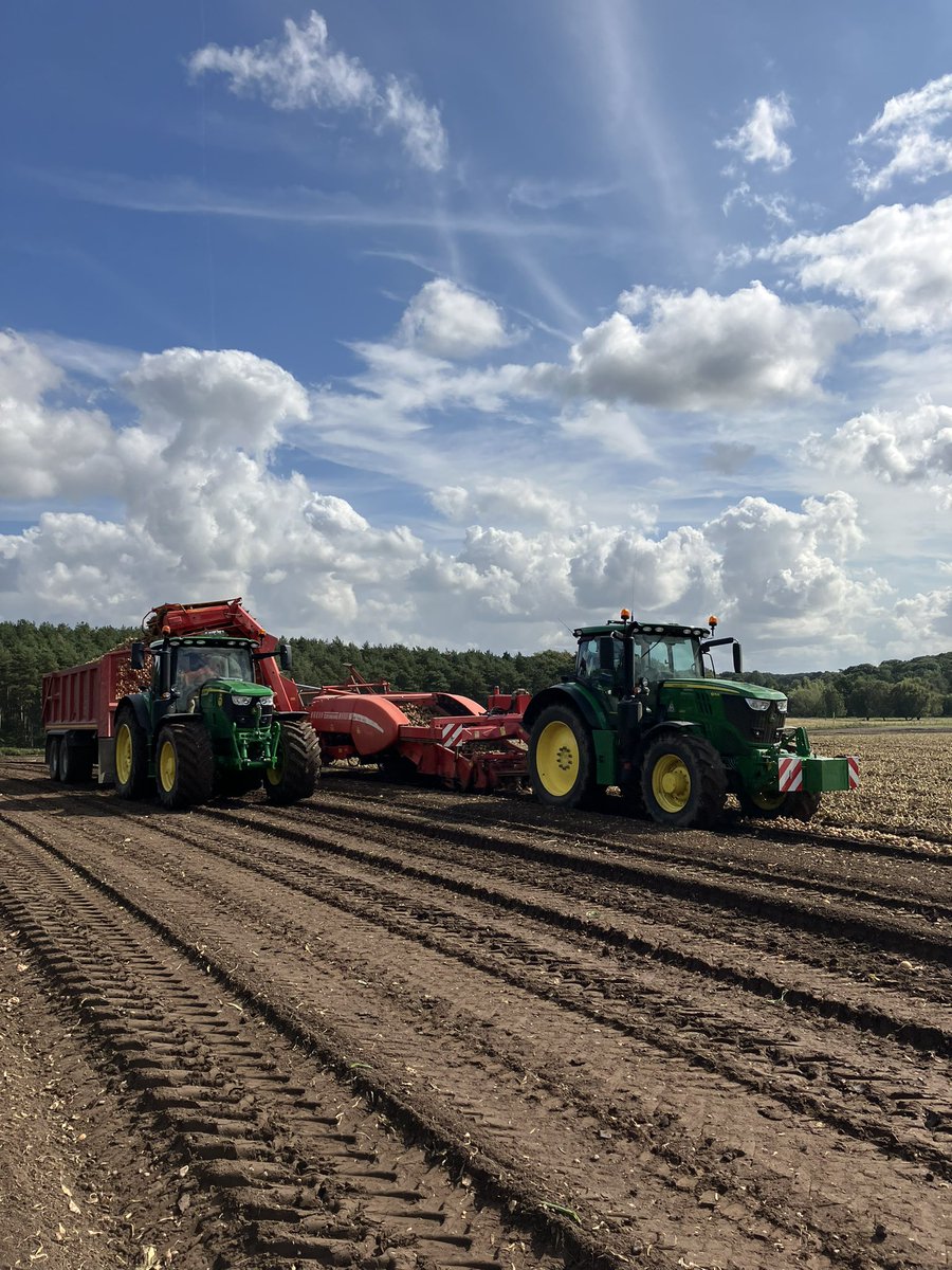 mordue16's tweet photo. The Grimme GZ1700 still doing its thing 😍😍 https://t.co/KiEd8YsE3K