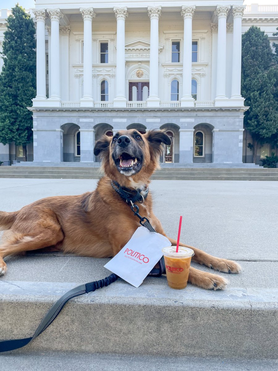 PerryComGroup's tweet photo. .@Politico? More like Politi-Kona 😌☕️🥐 https://t.co/K5svEozU58