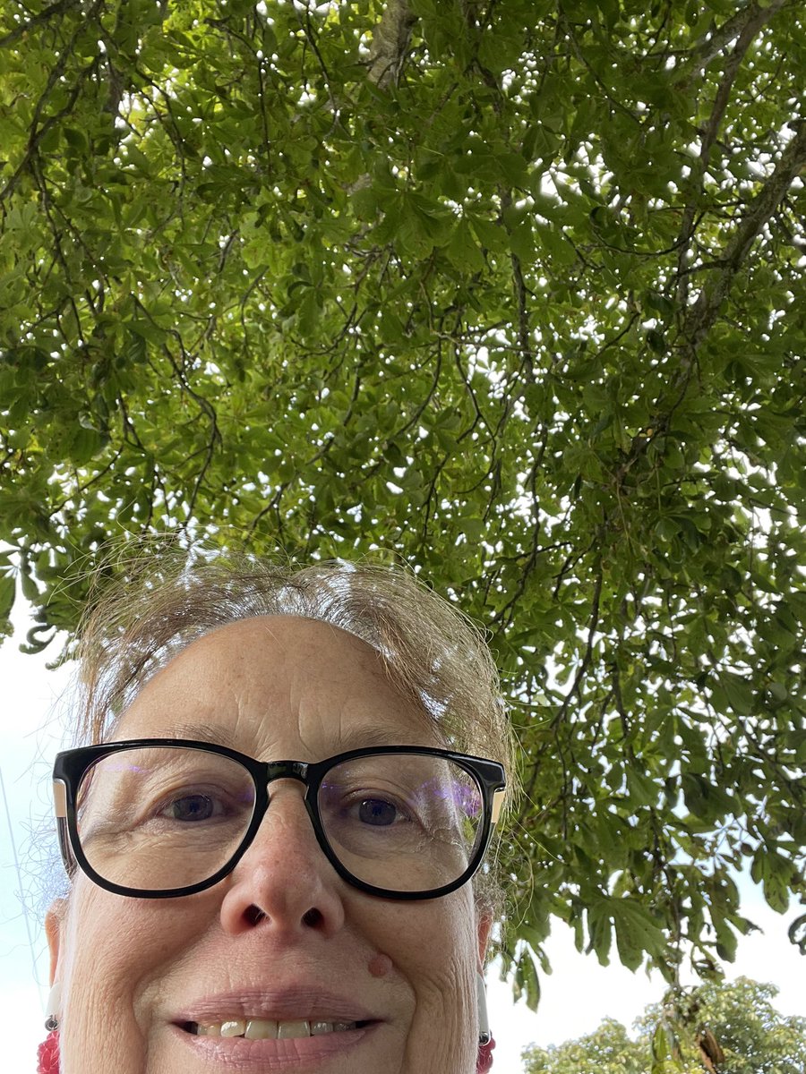 samneeclogg's tweet photo. Day 13 ✅ perfect day for #Swifties to sponsor me!!! Link in bio! #StepUpSeptember @TrussellTrust https://t.co/qkA1kHQ3hS