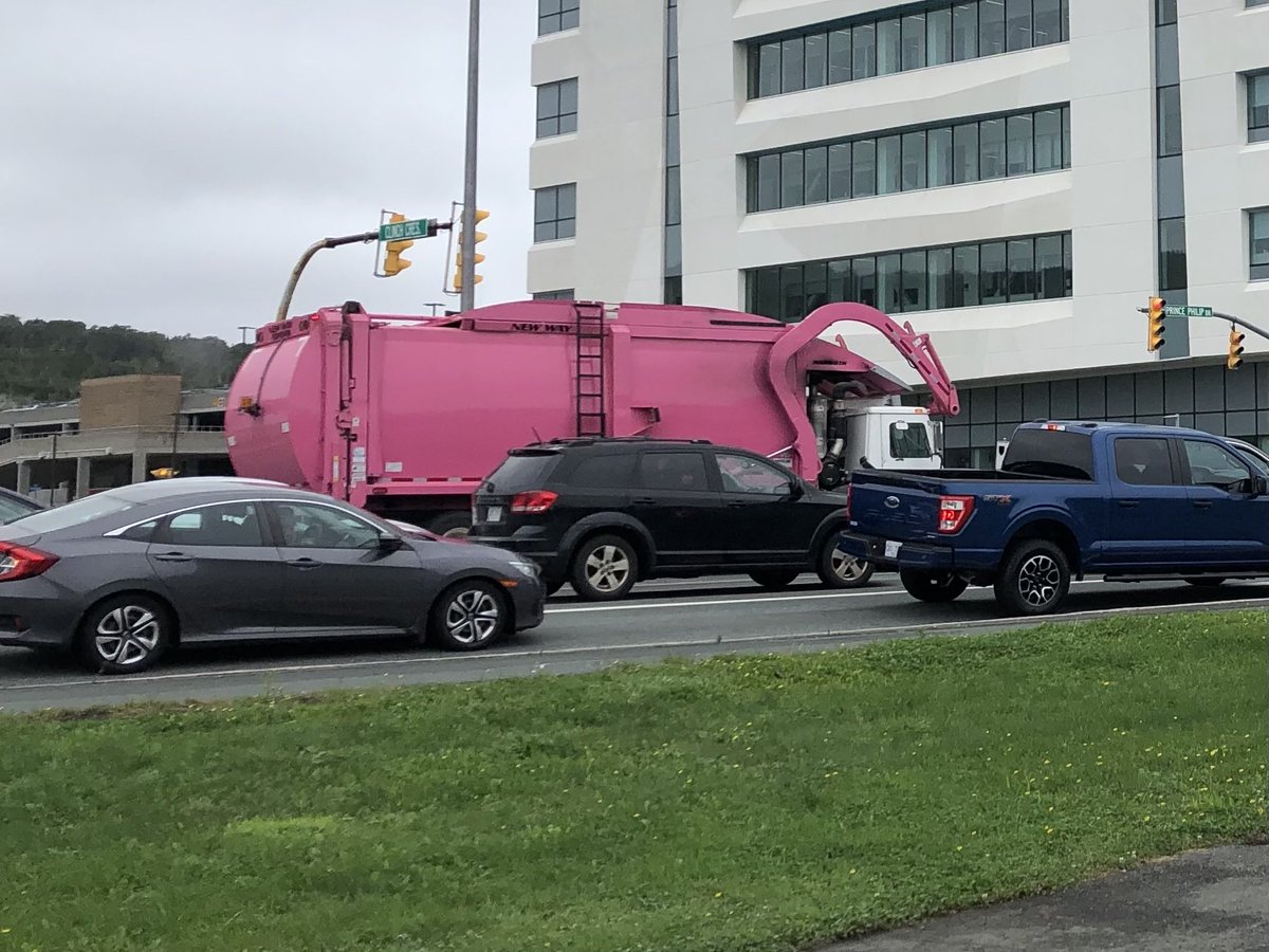 Bailey White tweet media