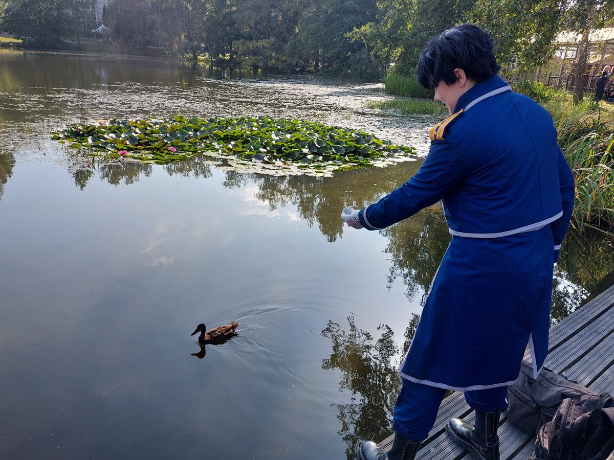 piipaapiu's tweet image. Flame alchemist vs duck, who wins #tracon