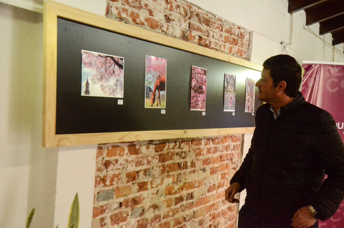 🌸 Entrega de premios del Concurso de Lapachos -fotos y videos- 🌸 
Felicitaciones a todos los participantes! Fue un honor ver a través de sus ojos a nuestra ciudad teñida de rosa 📸♥