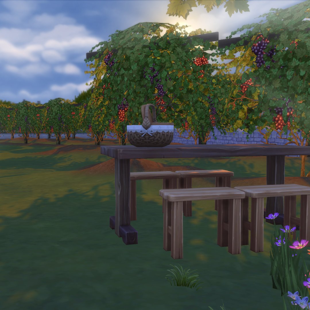 How delightful - a picnic in the vineyard? Count me in! 🧺🍇 #hubskotoshell
#showusyourbuilds #thesims #sims #thesims4 #sims4 #ts4 #thesims4nocc #sims4nocc #sims4build #ts4build #thesims4build #sims4game #sims4challenge #shellchallenge #buildingchallenge