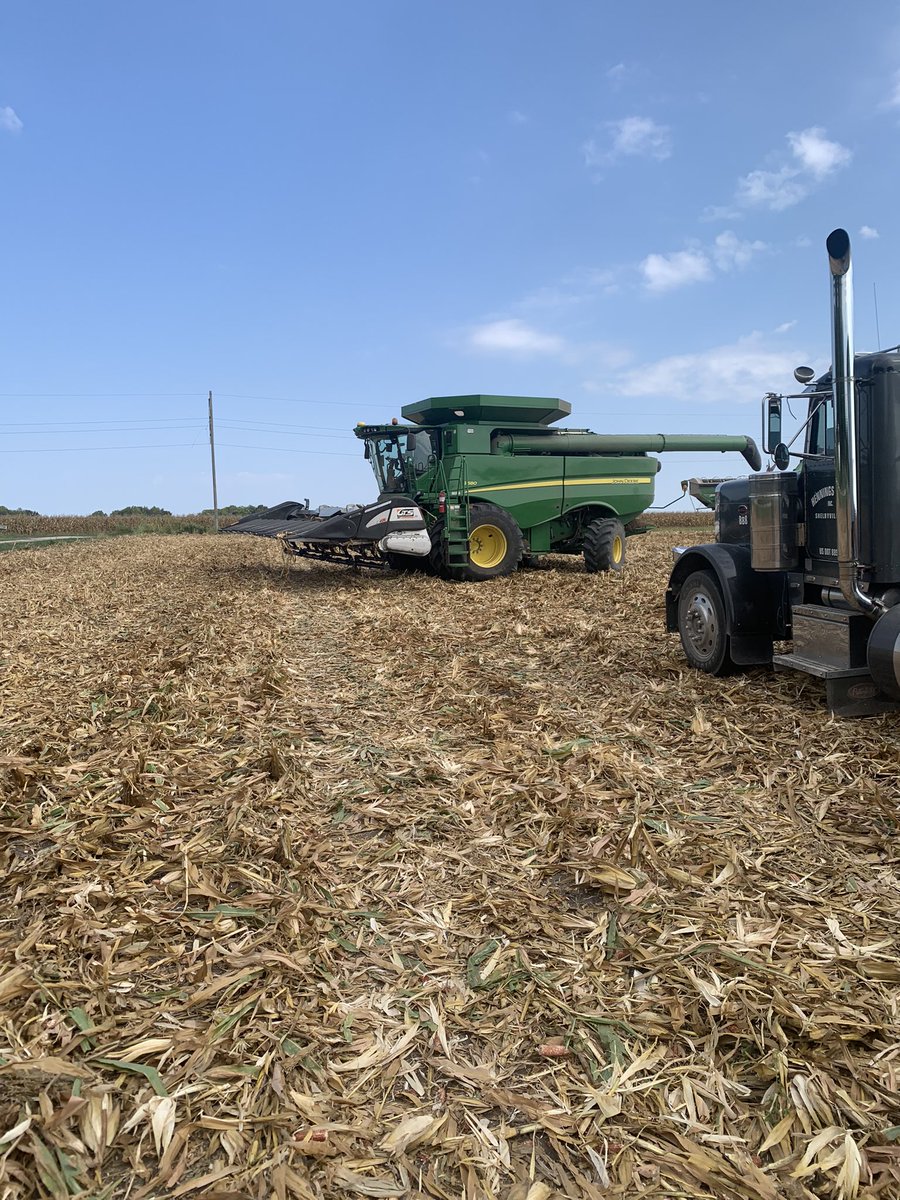 Jeff C (@jcoleman_ag) on Twitter photo 12row 30” GTS X10 corn head demo today featuring a Yetter Stalk Devastator. <a href="/PlantersPrecAg/">Planters Precision</a> 12row 30” GTS X10 corn head demo today featuring a Yetter Stalk Devastator. <a href="/PlantersPrecAg/">Planters Precision</a>