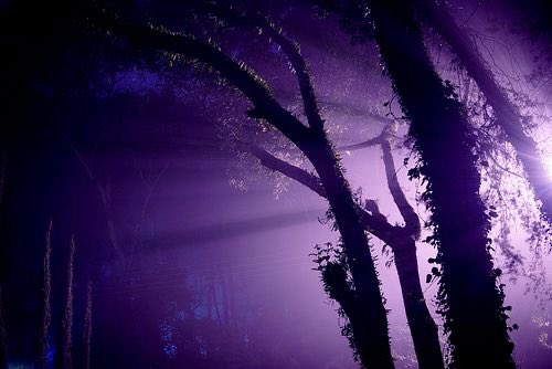 shades of purple.