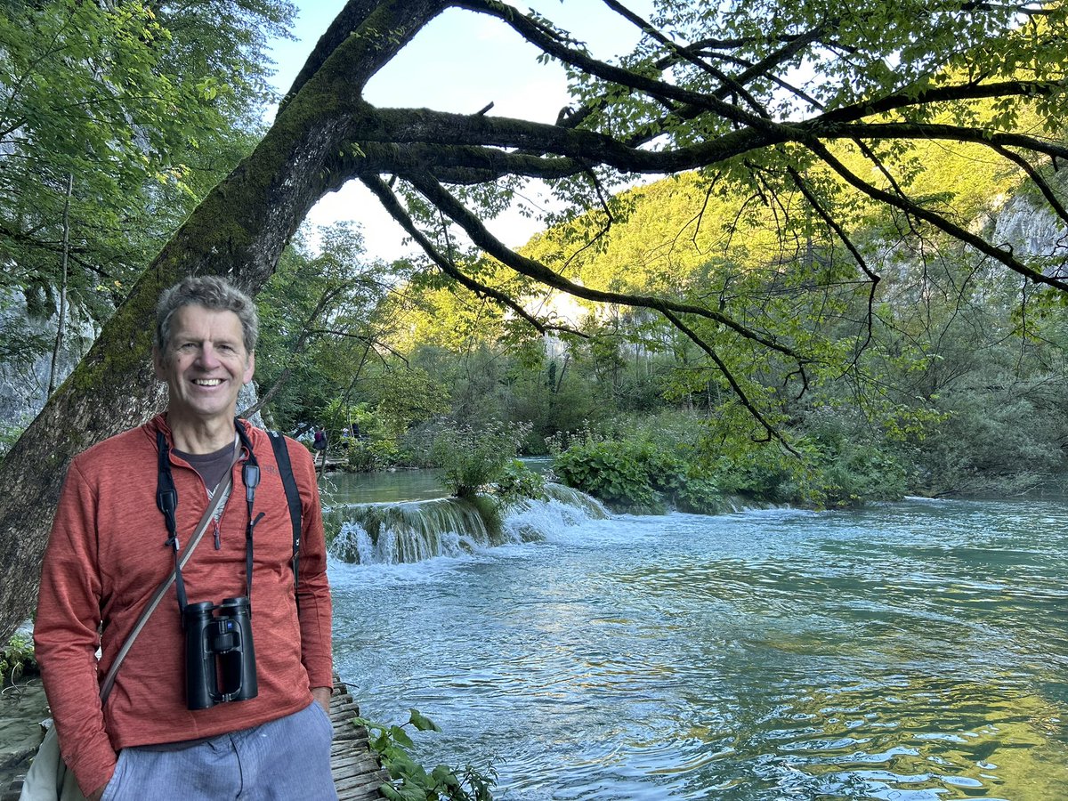 Paul Jepson tweet media