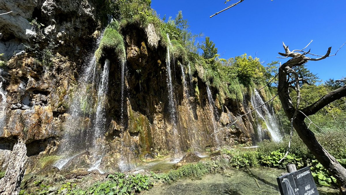 Paul Jepson tweet media