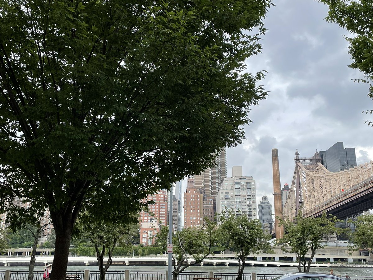 HeartBobH's tweet photo. First visit to @cornell_tech  on @RIOCny Incredible views of East River and #NYC skylines. More importantly, many opportunities for research collaborations between @WeillCornell and @Cornell @WCMResearch https://t.co/316WkxgbkB