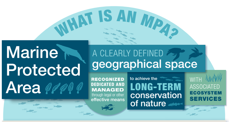 FishOceansCAN's tweet photo. Do you know what a Marine Protected Area (MPA) is? 

MPAs are parts of the ocean that are legally protected and provide environmental, social and cultural benefits, focusing on the long-term conservation of nature. 🌊 

Learn more about our work on MPAs: https://t.co/tAE8hMl9gu https://t.co/ud6TrE55QF